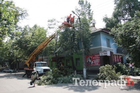 На улице Шевченко снова обрезали липы (ФОТО)