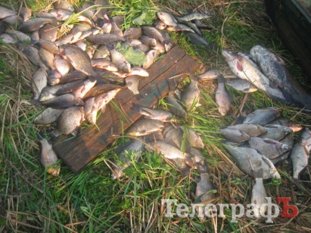 Операция "Нерест" - 1,5 тонны незаконно добытой рыбы