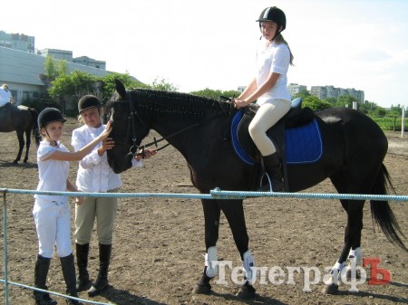 У коня Хабіба є власна сторінка «ВКонтакте» – її створила маленька Арина