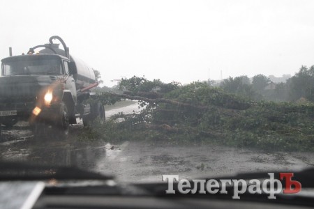 На Крюковской стороне буря повалила 14 деревьев