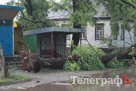 На Крюковской стороне буря повалила 14 деревьев
