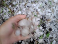 В Каменных Потоках падал град до 30 мм диаметром - МЧС