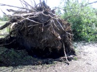 В Каменных Потоках падал град до 30 мм диаметром - МЧС