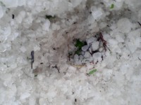 В Каменных Потоках падал град до 30 мм диаметром - МЧС