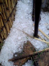 В Каменных Потоках падал град до 30 мм диаметром - МЧС