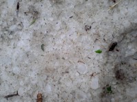 В Каменных Потоках падал град до 30 мм диаметром - МЧС