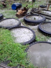 В Каменных Потоках падал град до 30 мм диаметром - МЧС