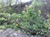 В Каменных Потоках падал град до 30 мм диаметром - МЧС