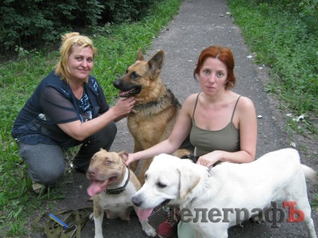 В Кременчуге негде выгуливать четвероногих