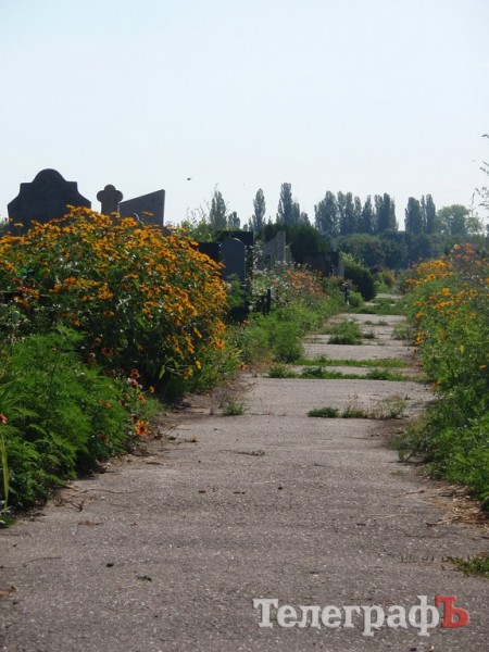 Свиштовское кладбище зарастает бурьяном (Фотофакт)