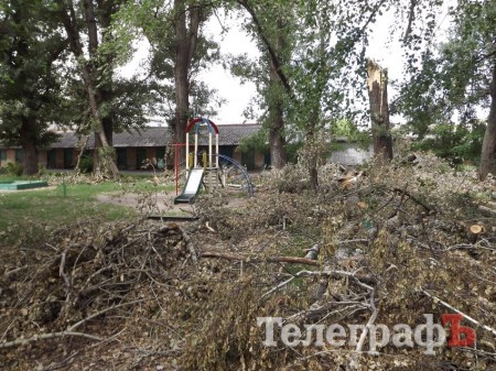 Поваленное 14 июня бурей дерево все еще лежит на детской площадке (ФОТО)