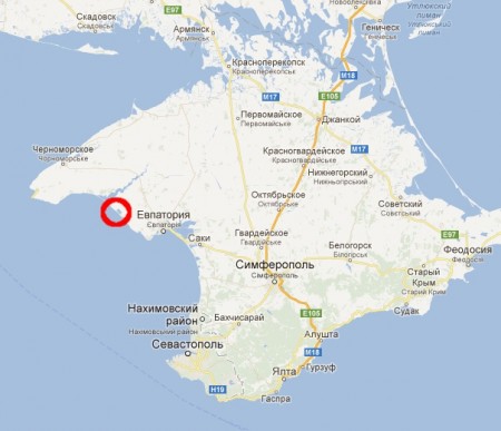 Бывшего кременчужанина в Крыму укусил паук-каракурт: 4 дня реанимации
