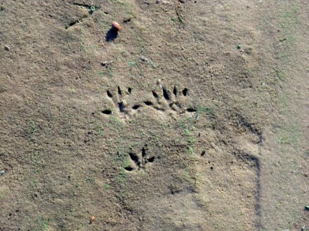 7 днів на кременчуцьких островах жила жінка-науковець