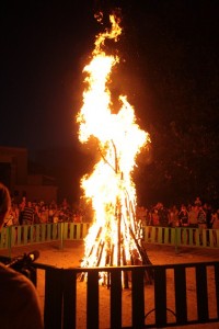 В Кременчуге прошел  первый фестиваль вышиванок (ФОТО, ВИДЕО)