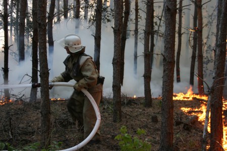 На Полтавщине сгорело 22 гектара леса (ФОТО)