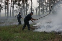 На Полтавщине сгорело 22 гектара леса (ФОТО)