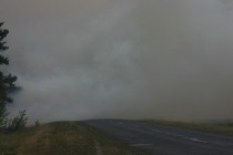 На Полтавщине сгорело 22 гектара леса (ФОТО)