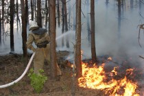 На Полтавщине сгорело 22 гектара леса (ФОТО)