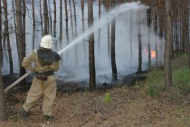На Полтавщине сгорело 22 гектара леса (ФОТО)