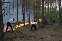 На Полтавщине сгорело 22 гектара леса (ФОТО)