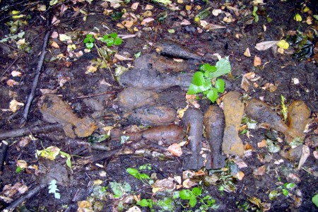 На Полтавщине обезвредили целый арсенал боеприпасов