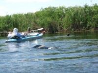 Кременчужане сплавились по Орели  (ФОТОРЕПОРТАЖ)