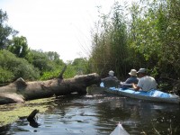 Кременчужане сплавились по Орели  (ФОТОРЕПОРТАЖ)
