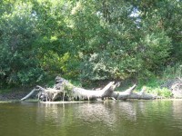 Кременчужане сплавились по Орели  (ФОТОРЕПОРТАЖ)