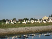 Кременчужане сплавились по Орели  (ФОТОРЕПОРТАЖ)