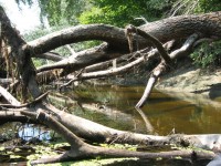 Кременчужане сплавились по Орели  (ФОТОРЕПОРТАЖ)