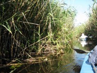 Кременчужане сплавились по Орели  (ФОТОРЕПОРТАЖ)