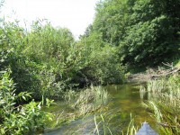 Кременчужане сплавились по Орели  (ФОТОРЕПОРТАЖ)