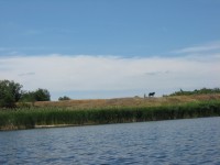 Кременчужане сплавились по Орели  (ФОТОРЕПОРТАЖ)