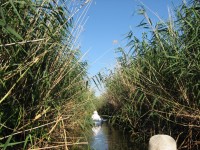 Кременчужане сплавились по Орели  (ФОТОРЕПОРТАЖ)