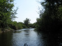 Кременчужане сплавились по Орели  (ФОТОРЕПОРТАЖ)