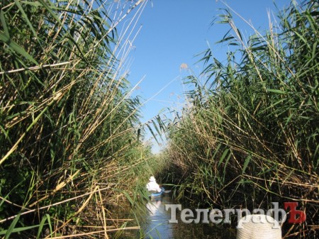 По Орели на байдарке