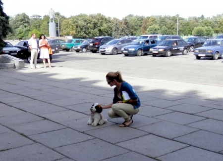 Перед мерией из пистолета «убили» собаку
