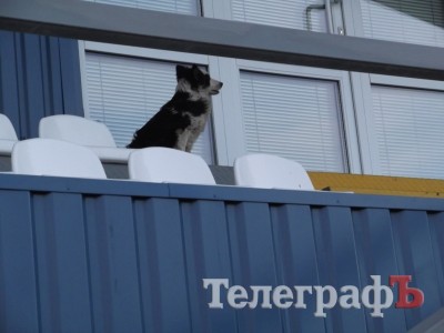 Чемпионат города Кременчуга по футболу.