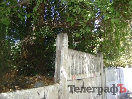 В Кременчуге воспитанников детсада травят амброзией