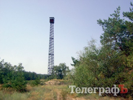 Як охороняють ліси від пожеж
