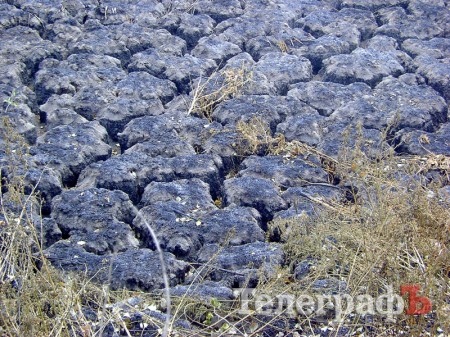 Як охороняють ліси від пожеж