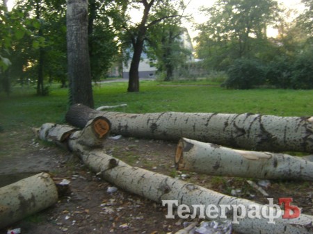 «Городской сад» в Кременчуге стал напоминать скорее лес после урагана (ФОТО)