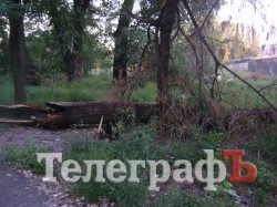 «Городской сад» в Кременчуге стал напоминать скорее лес после урагана (ФОТО)