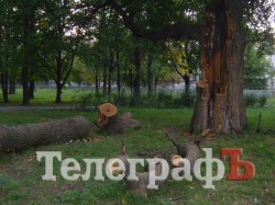 «Городской сад» в Кременчуге стал напоминать скорее лес после урагана (ФОТО)