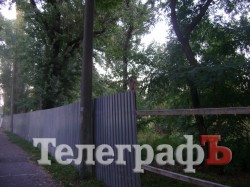 «Городской сад» в Кременчуге стал напоминать скорее лес после урагана (ФОТО)