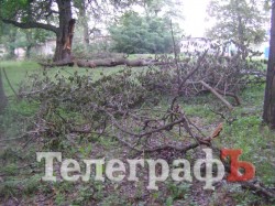 «Городской сад» в Кременчуге стал напоминать скорее лес после урагана (ФОТО)
