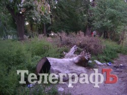 «Городской сад» в Кременчуге стал напоминать скорее лес после урагана (ФОТО)