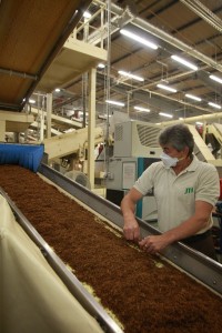 Кременчугская табачная фабрика сегодня отмечает 170-летний юбилей (Фоторепортаж)