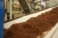 Кременчугская табачная фабрика сегодня отмечает 170-летний юбилей (Фоторепортаж)