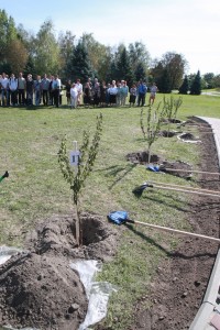 Кременчугская табачная фабрика сегодня отмечает 170-летний юбилей (Фоторепортаж)